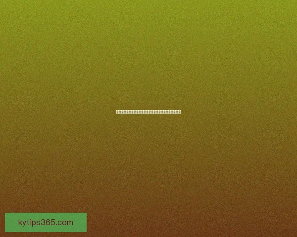 世界杯赛事全面解析与投注技巧深度指南全面提升竞猜胜率